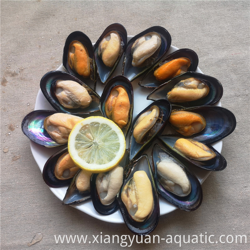 high quality frozen fresh cooked green mussle